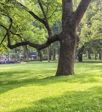 Bernardine Gardens park in the center of Vilnius, Lithuania, Europe