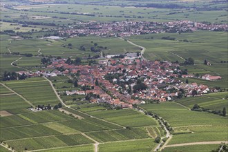 View of Rhodt unter Rietburg