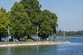 People on benches, shady trees, Priener Schären headland of the lakeside promenade, Prien am