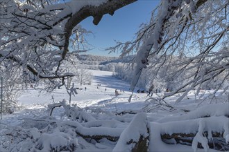 Winter sports on the Rossberg, Swabian Alb, Baden-Württemberg, Germany, Swabian Alb, Rossberg,