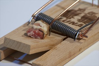 Mousetrap with bacon