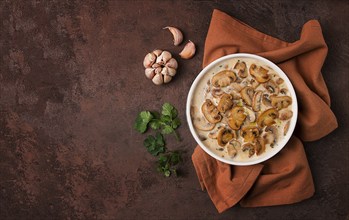 Champignons in creamy garlic sauce, with herbs and spices, gravy, sauce, no people