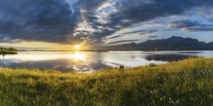 Sunrise at Forggensee, Ostallgäu, Allgäu, Swabia, Bavaria, Germany, Europe