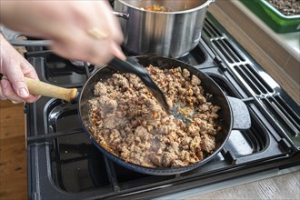 Minced meat being fried in a pan, Bavaria, Germany, Europe