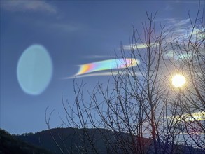 Beautiful Colorful Rainbow Clouds (Cloud Iridescence) Against Blue Sky and a Tree with Branches and