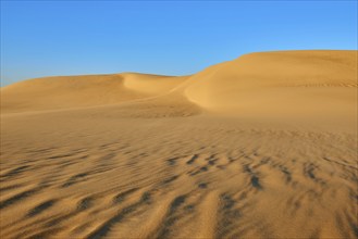 Vast sand dunes stretch out under a clear blue sky, conveying a calm and dry atmosphere, Matruh,