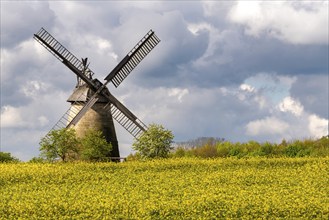 Eisbergen windmill with rape field Porta Westfalica Germany