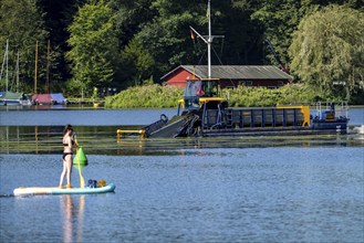 Mowing boat Nimmersatt, of the Ruhrverband, tries to keep the green plant carpet on the Lake