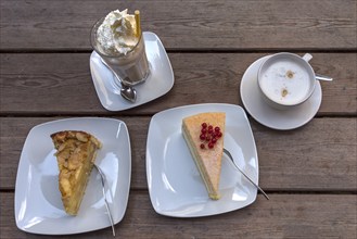 Cake and iced coffee with cream and cappuccino on a wooden table, Mecklenburg-Vorpommern, Germany,