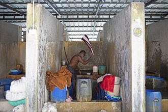 Indian man washing clothes in the laundry Dhoby Khana, Kochi, Kerala, India, Asia