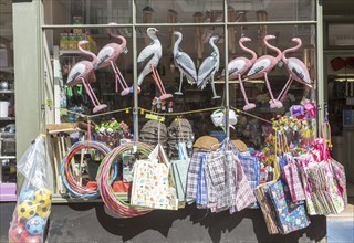 Shop window display of garden plastic birds and shopping bags, Woodbridge, Suffolk, England, UK