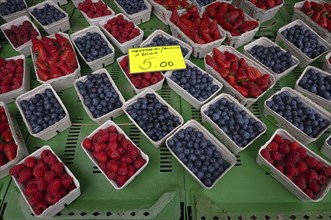 Fresh fruit, berries, fruits, raspberries, blueberries, blueberries, strawberries, in the bowl,