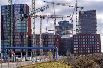 Construction sites in the east of Hafencity Hamburg, office building, new district on the Elbe, on