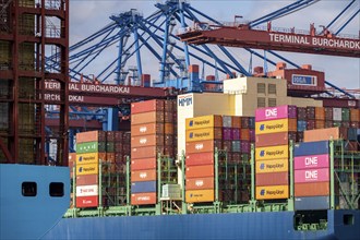 Magleby Maersk container freighter at EUROGATE Container Terminal, Waltershofer Hafen, one of the