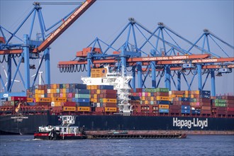 Container Terminal Altenwerder, Hapag-Lloyd container ship Frankfurt Express during loading and