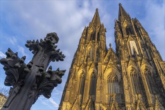 Cologne Cathedral, view of the west façade, on the north tower one of the rare occasions almost