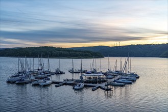 Lake Rursee, reservoir in the Eifel National Park, north-east bank near Heimbach, near the Rur dam