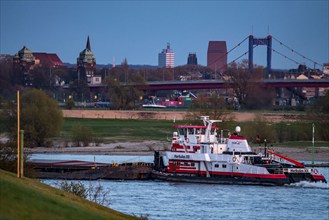 Cargo ship on the Rhine near Duisburg-Beeckerwerth, skyline of the city centre, with town hall,