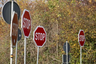 Several STOP signs next to each other, traffic signs