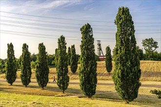 The Krupp Park in Essen-Altendorf, part of the Krupp Belt, an urban development project to rebuild