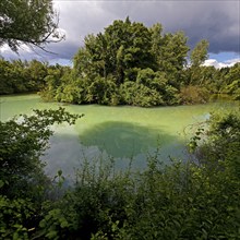 Harpener Teiche, also known as Werner Teiche, still water with milky, cloudy mine water, Bochum,