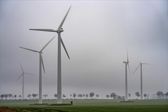 Wind farm, wind turbines near Erkelenz, Rhenish lignite mining area, in the fog, calm, no wind,