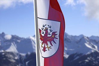 Österreichische Flagge mit schneebeckten Bergen im Hintergrund (Austrian flag with snow-covered