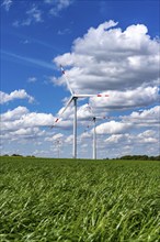 Wind farm, wind turbine, wind turbines from the manufacturer Enercon, blue sky with many white