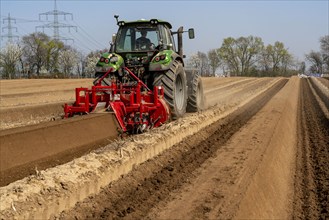 A farmer builds asparagus ridges on a field with the help of an asparagus tiller, in which the