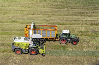 Hay harvest, on a Rhine meadow near Duisburg-Beeckerwerth, a forage harvester picks up the cut