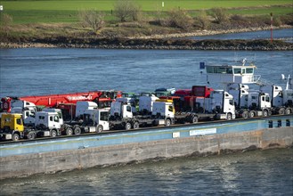 Cargo ship on the Rhine, near Krefeld, specialised freighter for vehicles, Vera/RoRo1 pushed