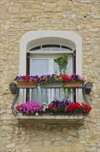 Window with floral decoration, shutters, one, balcony railing, idyll, house wall,