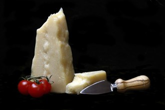 A piece of Parmesan cheese with cheese knife, tomatoes, Italy, Europe