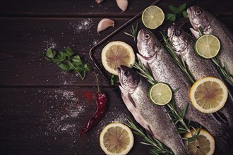 Raw rainbow trout, with lemon and herbs, on a wooden table, no people