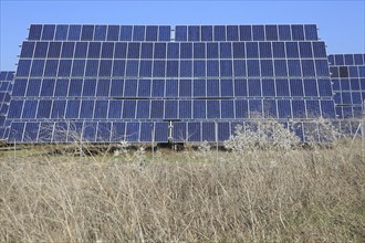 PV solar array at Cordel del Palmar, near Vejer de la Frontera, Cadiz province, Spain, Europe