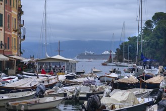 A cruise ship anchors off the harbour of Portofino, Portofino, Italy, Europe