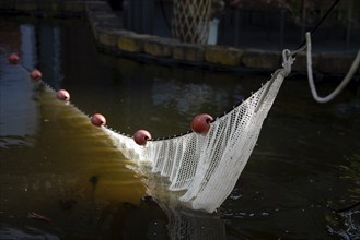 A fishing net half submerged in the water, held by red buoys, Germany, Europe