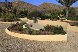 Botanical gardens at Rodalquilar, Cabo de Gata natural park, Almeria, Spain, Europe