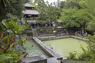 Tourists bathing in the Banjar Hot Springs, Air Panas, Dencarik west of Lovina in North Bali,