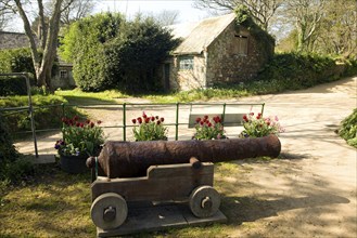 Old cannon and buildings Island of Sark, Channel Islands, Great Britain