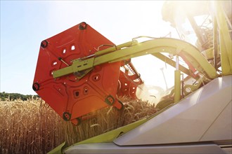 Harvesting grain with a combine harvester in a field near Ludwigshafen