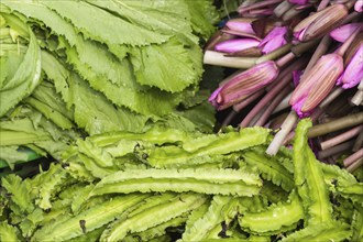 Purple lotus flowers and a green salad on the market