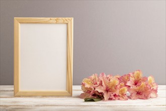 Wooden frame with pink azalea flowers on gray pastel background. side view, copy space, mockup,