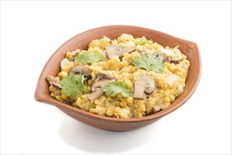 Lentils porridge with champignons and coriander in a clay bowl isolated on white background. Side