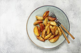 Fried potato slices, on a plate, top view, homemade, no people