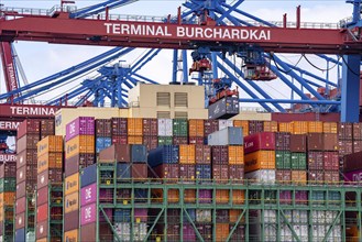 HMM Nuri container freighter, at HHLA Container Terminal Burchardkai, in Waltershofer Hafen, being