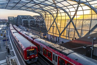 Elbbrücken S-Bahn station, the S3 and S5 S-Bahn trains run here, Commuter, Hamburg Germany