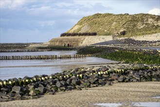 North Sea, Spiekeroog Island, autumn, coastal protection in the west of the island, wall for dune