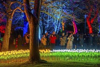 Parkleuchten, event in winter, in the Grugapark in Essen, many different light installations,