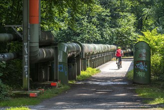 Cycling in the Ruhr area, Lothringentrasse, in the north of Bochum, Bochum-Grumme, former railway